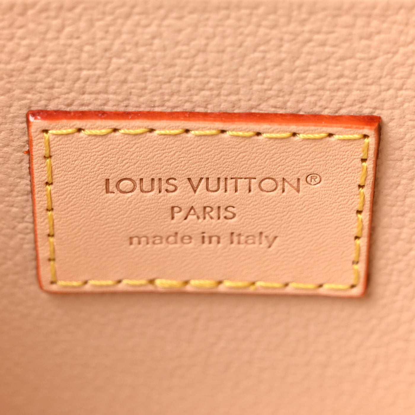 LOUIS VUITTON MONOGRAM NICE MINI