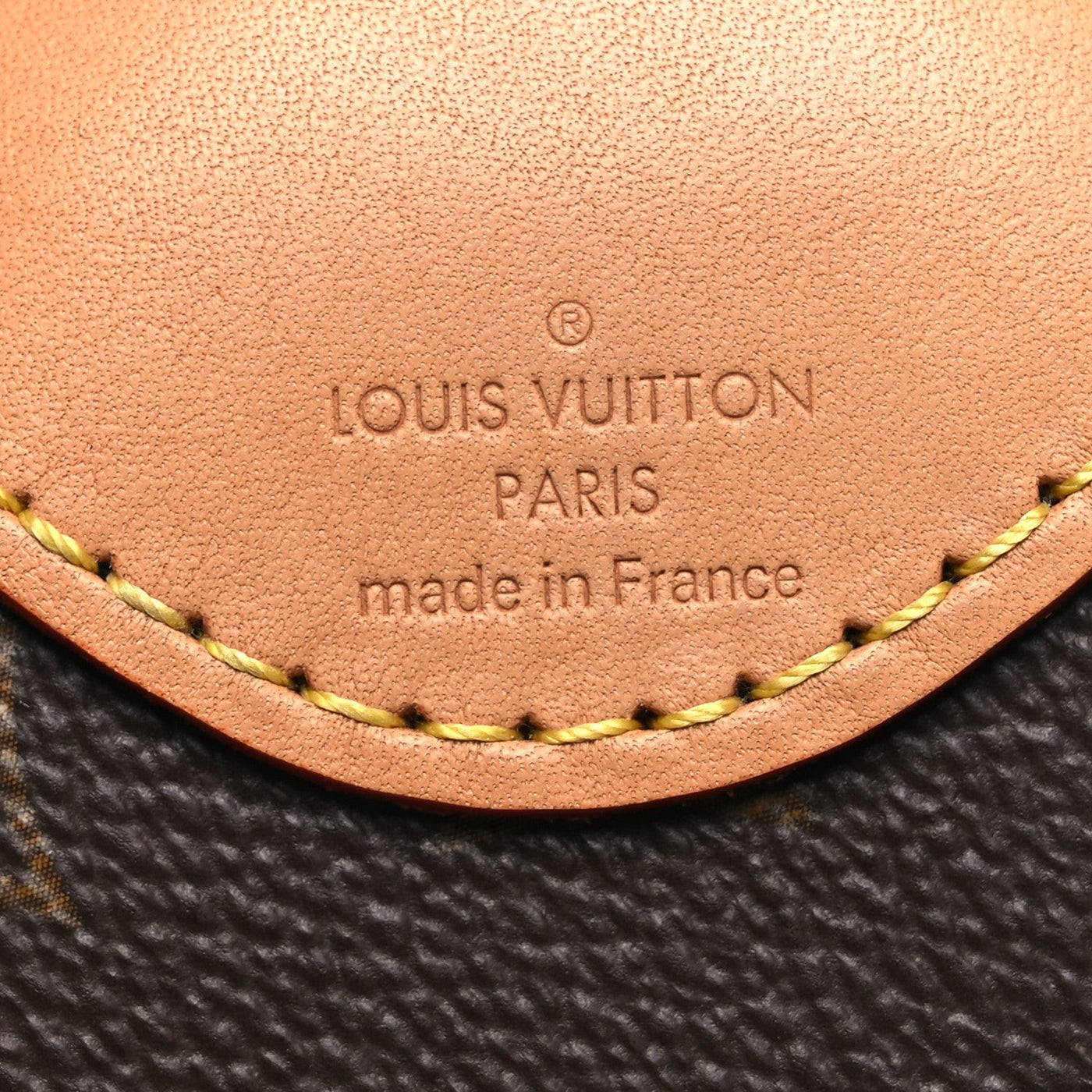 LV X SUN YITIAN MONOGRAM LEOPARD HORIZON 55