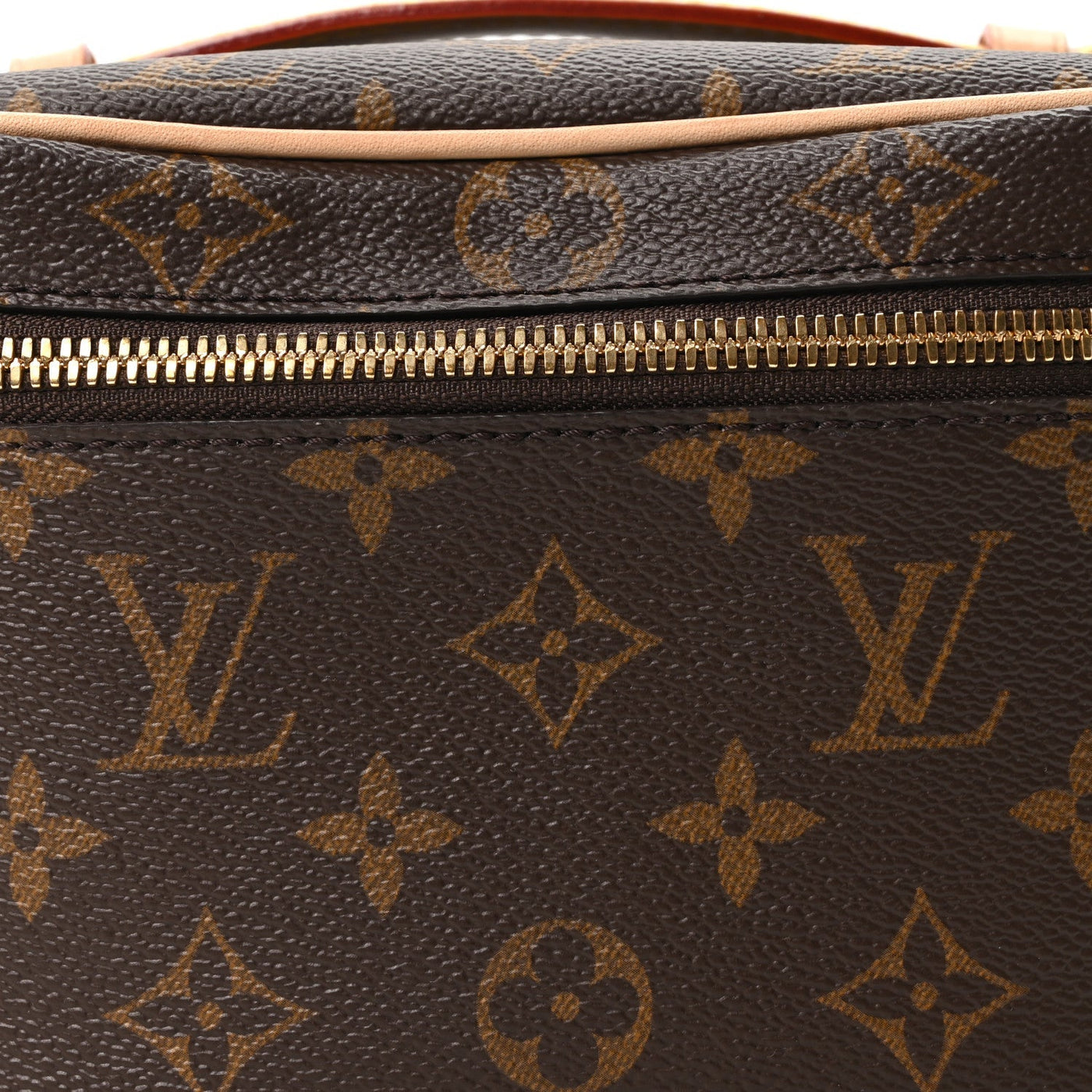 LOUIS VUITTON MONOGRAM NICE MINI
