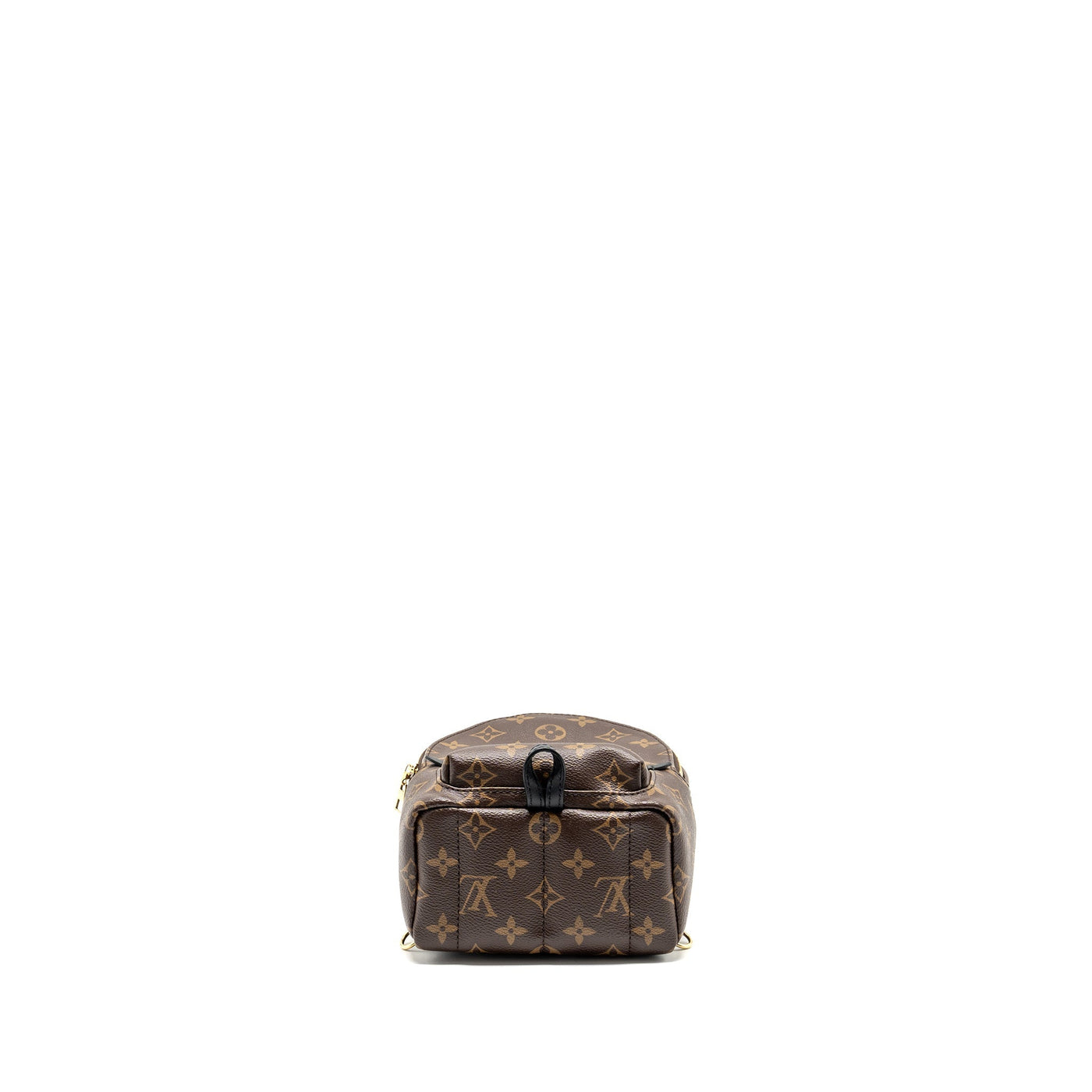 LOUIS VUITTON PALM SPRING MINI BACKPACK MONOGRAM CANVAS