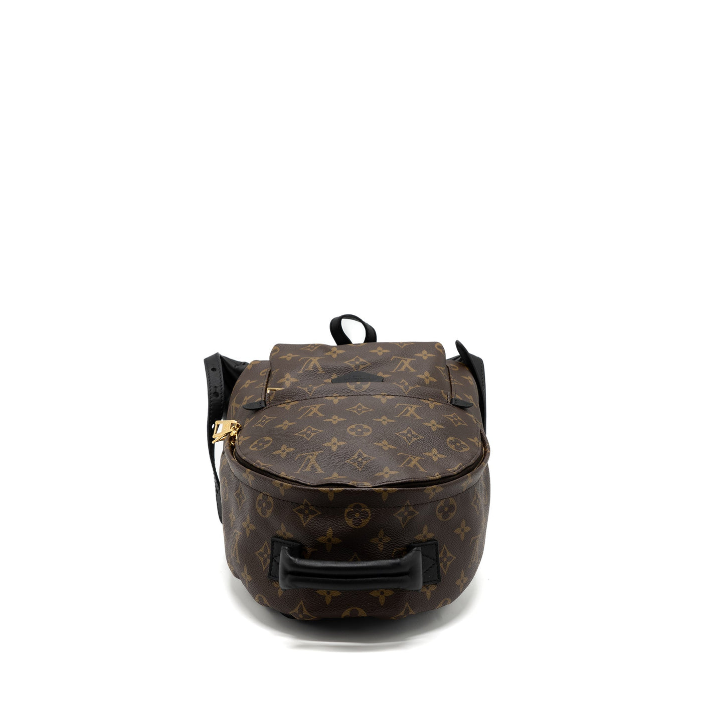 LOUIS VUITTON PALM SPRING BACKPACK PM MONOGRAM CANVAS GHW