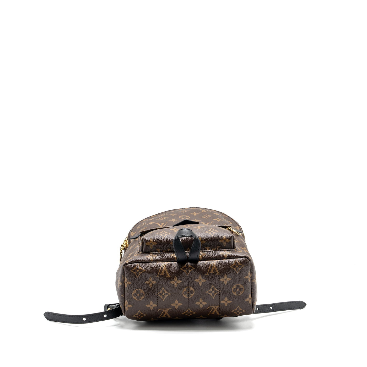 LOUIS VUITTON PALM SPRING PM BACKPACK MONOGRAM CANVAS GHW