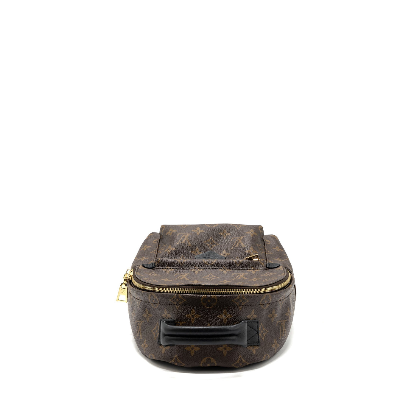 LOUIS VUITTON PALM SPRING BACKPACK PM MONOGRAM CANVAS GHW