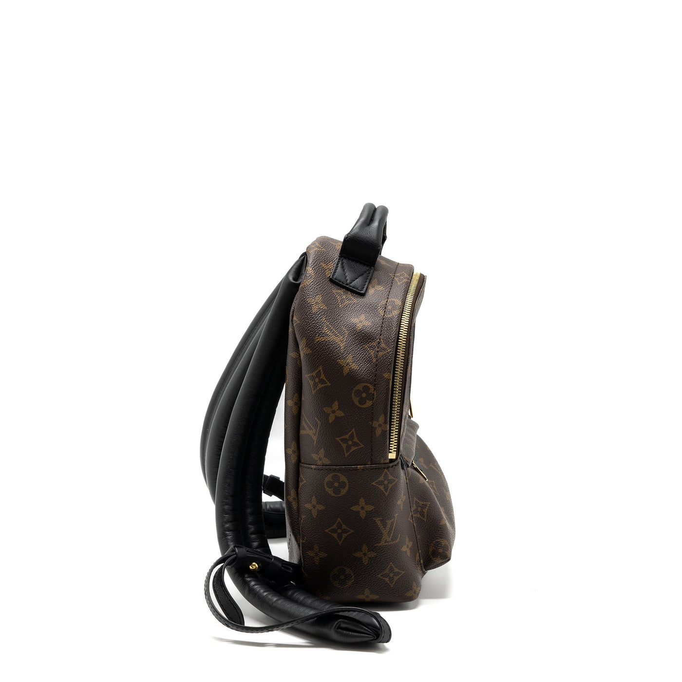 LOUIS VUITTON PALM SPRING BACKPACK PM MONOGRAM CANVAS GHW