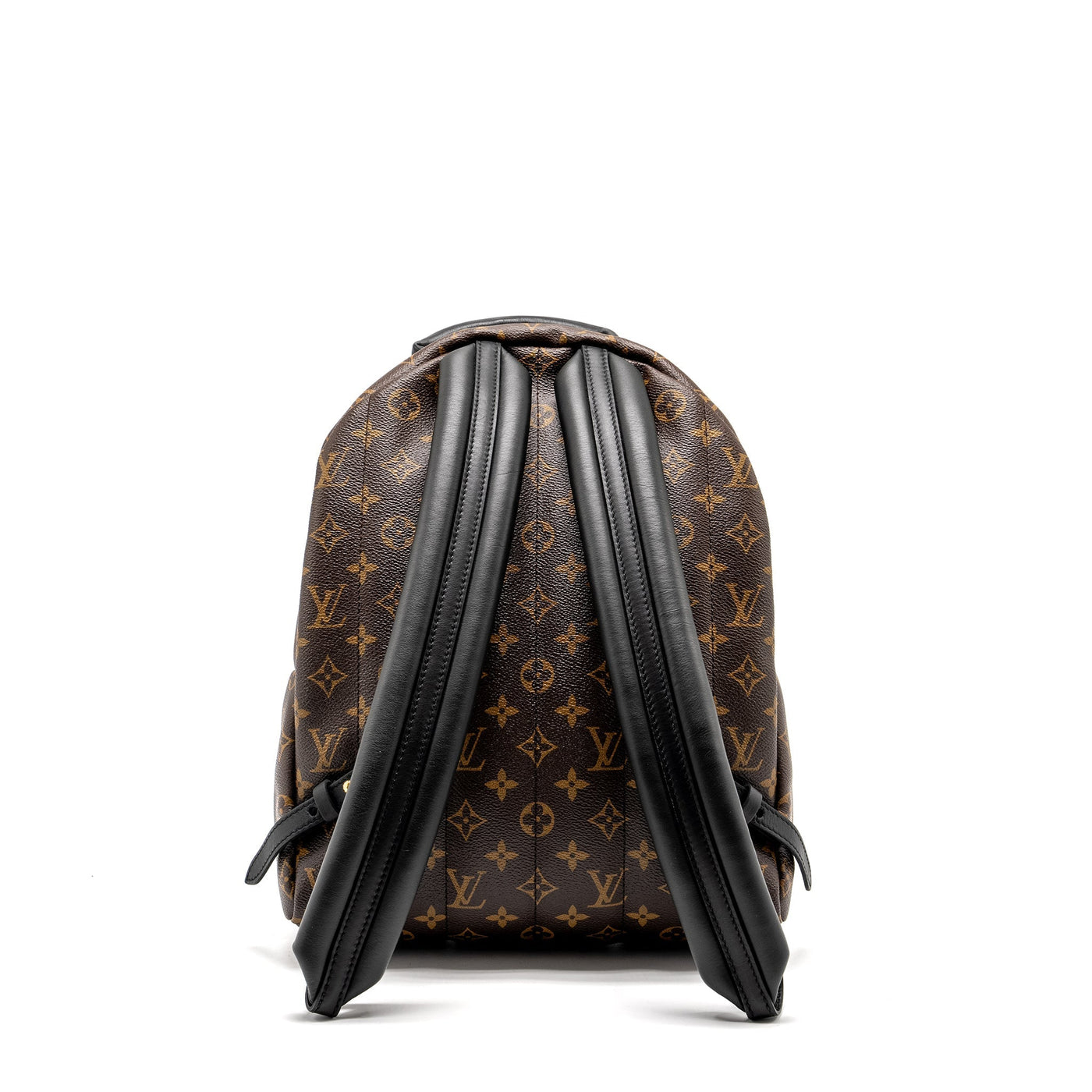 LOUIS VUITTON PALM SPRING BACKPACK MM MONOGRAM CANVAS