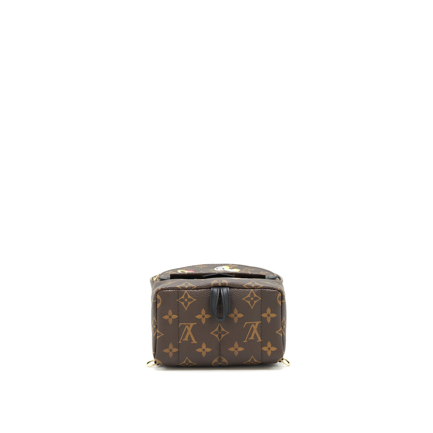 LOUIS VUITTON PALM SPRING MINI LIMITED EDITION MONOGRAM