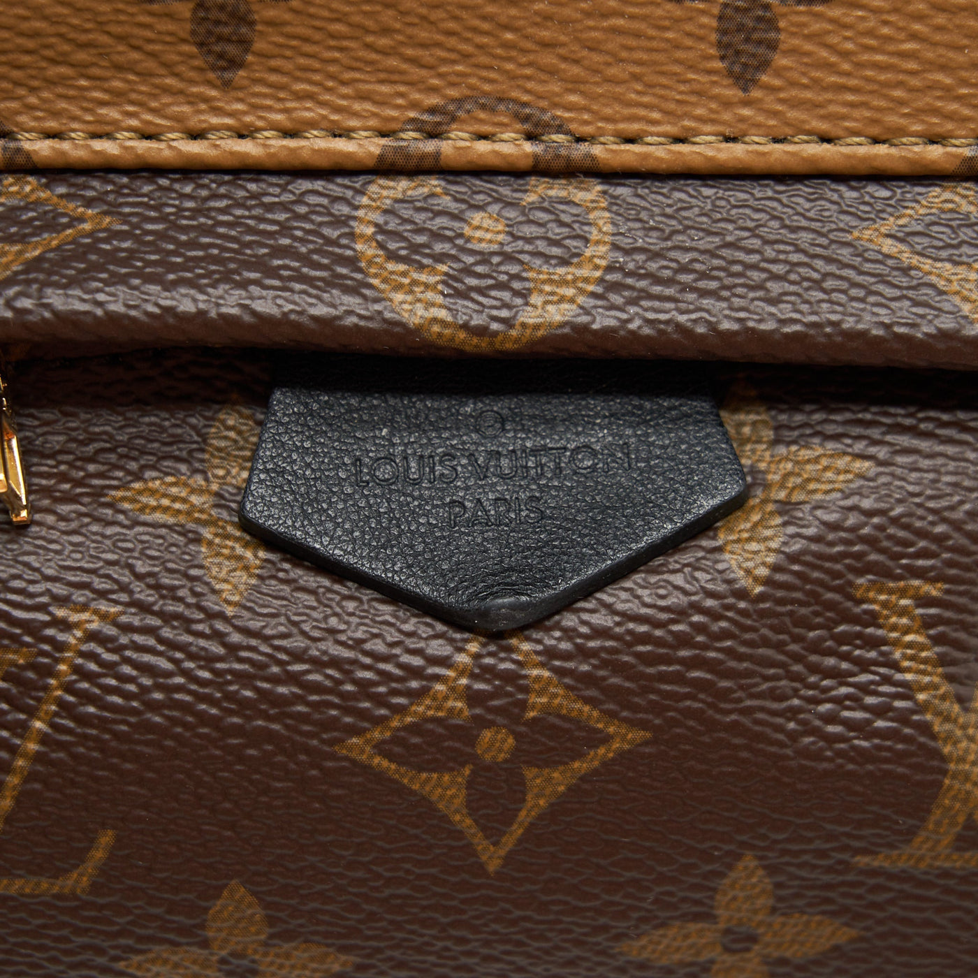 LOUIS VUITTON PALM SPRING MINI BACKPACK MONOGRAM CANVAS