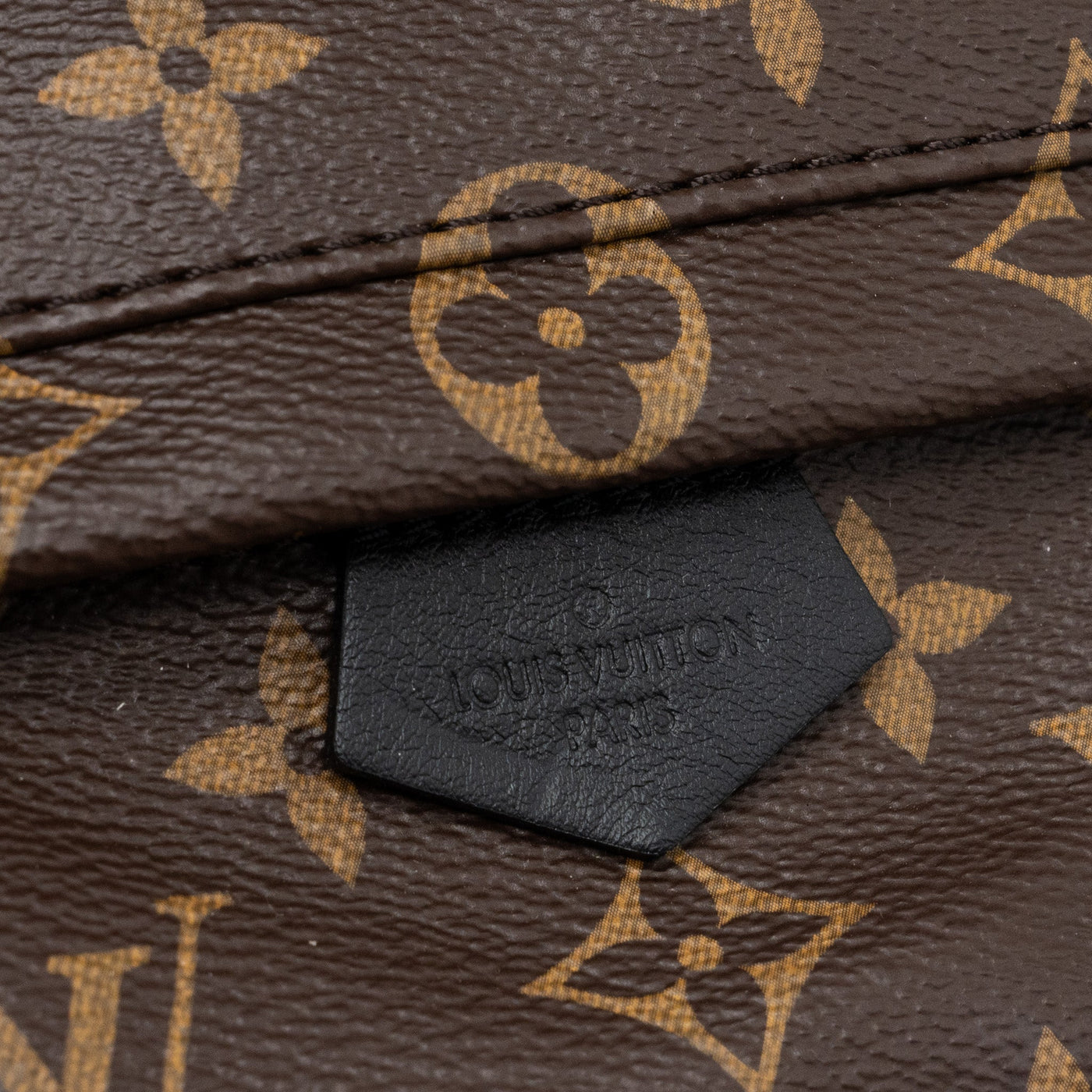 LOUIS VUITTON PALM SPRING MINI BACKPACK MONOGRAM CANVAS GHW (NEW VERSION)