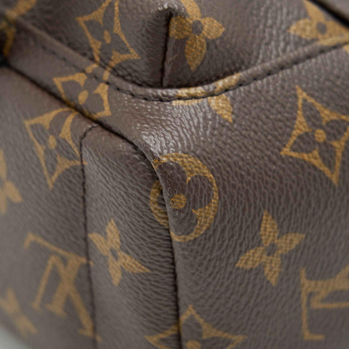 LOUIS VUITTON PALM SPRINGS MINI BACKPACK OLD VERSION
