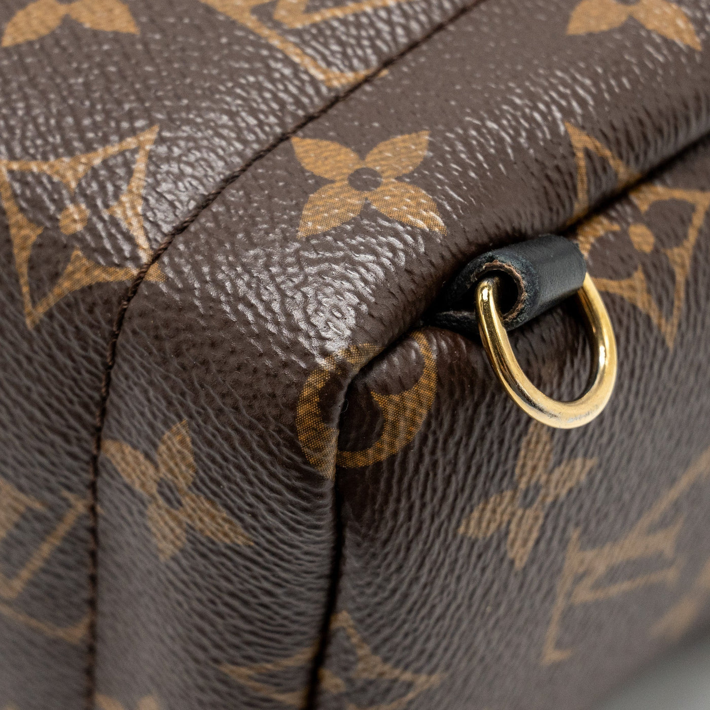 LOUIS VUITTON MINI PALM SPRING BACKPACK MONOGRAM CANVAS GHW