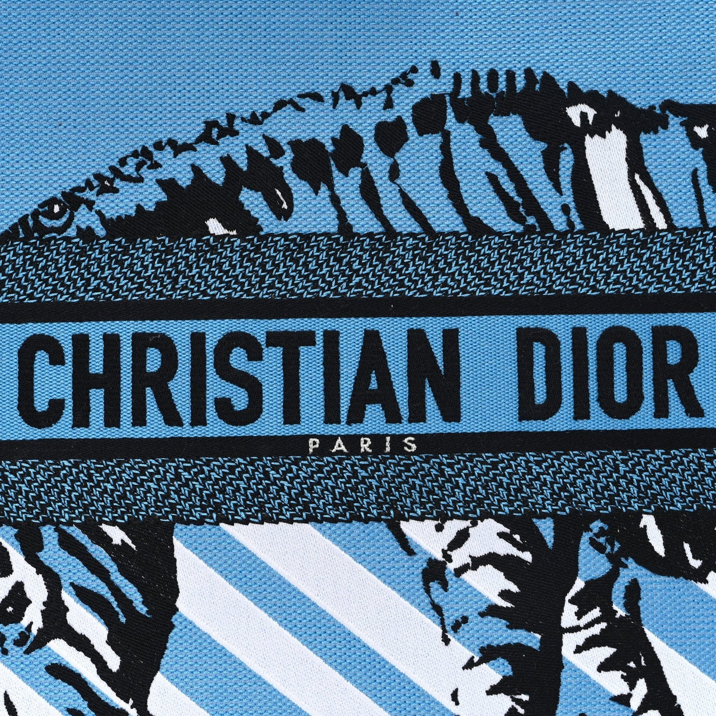 DIOR CANVAS EMBROIDERED LARGE JUNGLE POP BOOK TOTE BLUE MULTICOLOR